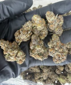 Buy Sour Diesel Weed UK